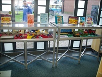 A Large picture of the whole display